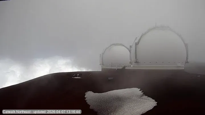 Subaru Cat Walk - NE