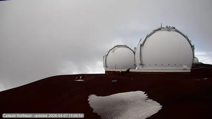 Subaru Cat Walk - Latest Snapshot