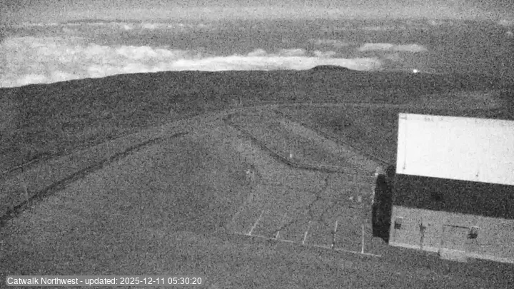 Subaru Cat Walk - NW