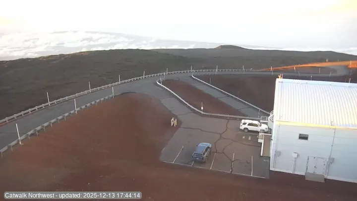 Subaru Cat Walk - NW