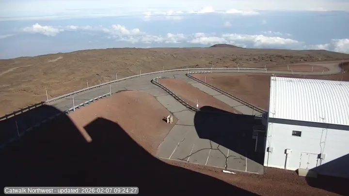 Snapshot from 2026_02_07_11_31.webp