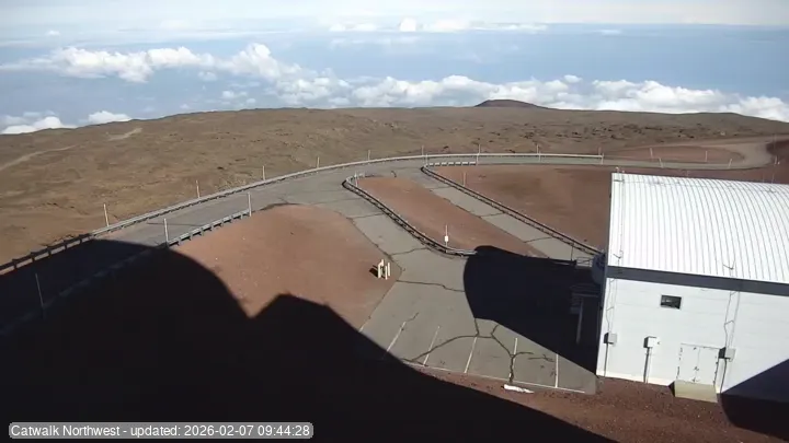 Subaru Cat Walk - Latest Snapshot