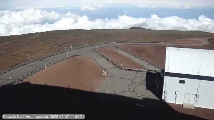 Subaru Cat Walk - NW