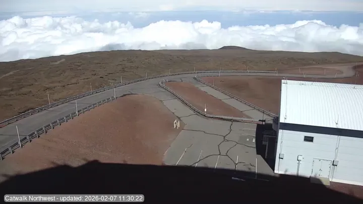 Subaru Cat Walk - NW