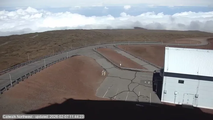 Subaru Cat Walk - NW