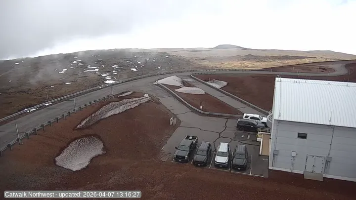 Subaru Cat Walk - NW