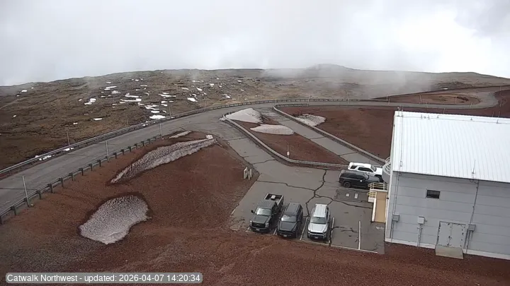 Snapshot from 2026_04_07_17_23.webp