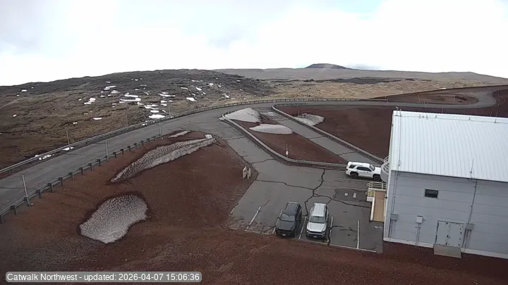 Subaru Cat Walk - Latest Snapshot