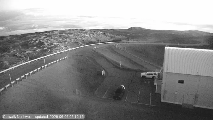 Subaru Cat Walk - Latest Snapshot