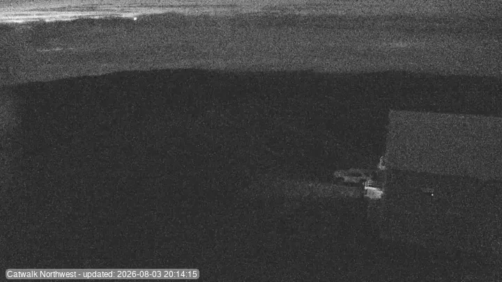 Snapshot from 2026_08_03_23_20.webp