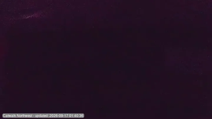 Snapshot from 2026_09_17_04_45.webp