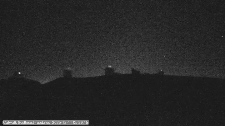 Subaru Cat Walk - SE