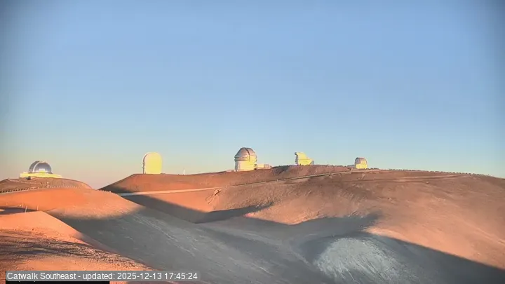 Subaru Cat Walk - SE