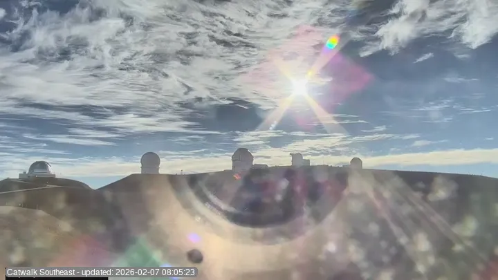 Subaru Cat Walk - SE