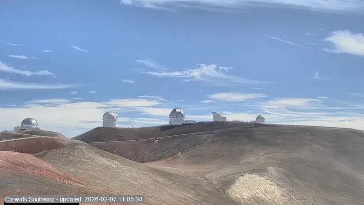 Subaru Cat Walk - SE