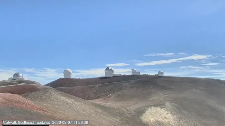 Subaru Cat Walk - SE