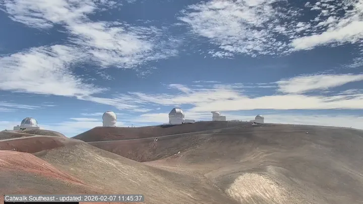 Subaru Cat Walk - SE