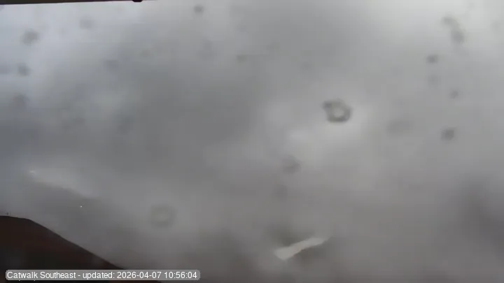 Snapshot from 2026_04_07_14_01.webp