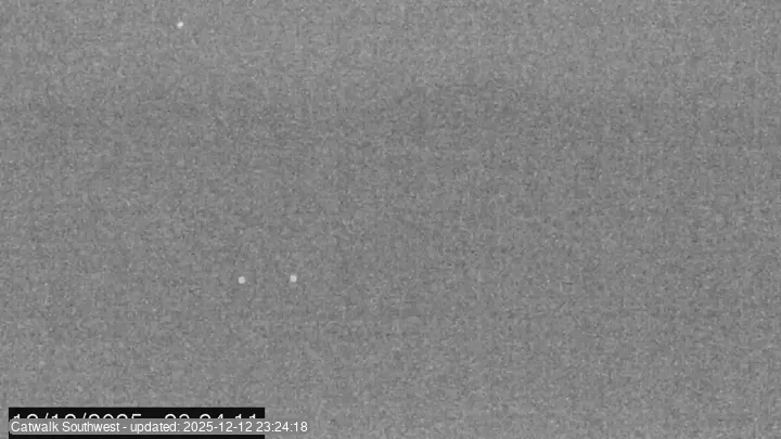 Subaru Cat Walk - SW