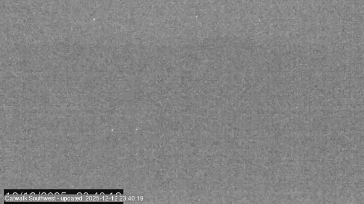 Subaru Cat Walk - SW