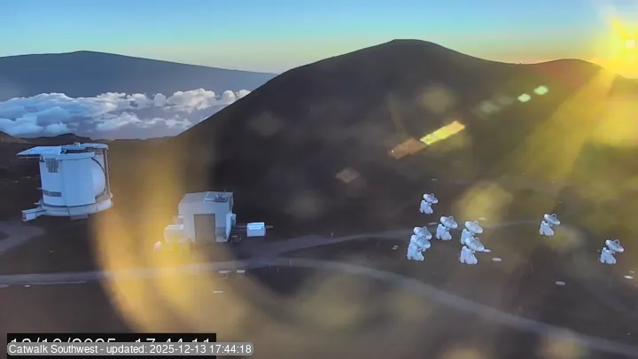 Subaru Cat Walk - SW