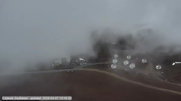 Subaru Cat Walk - SW