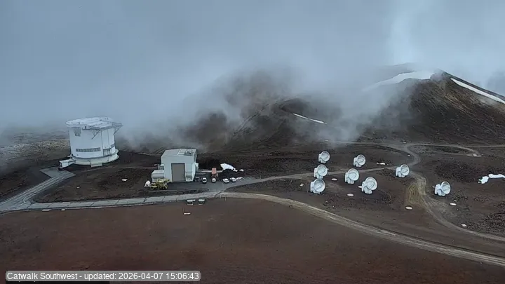 Subaru Cat Walk - Latest Snapshot