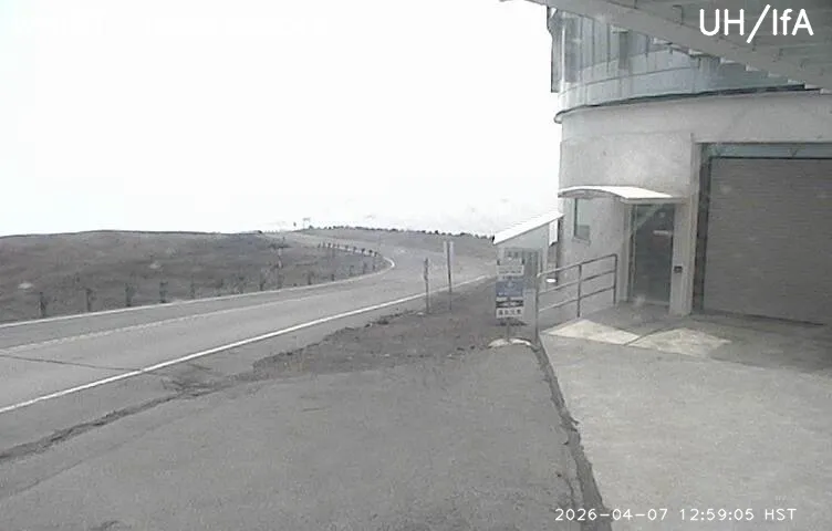 Snapshot from 2026_04_07_15_59.webp