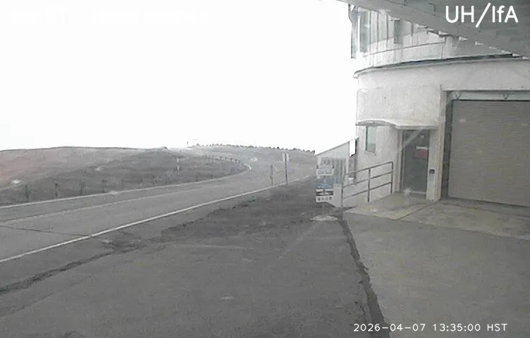 Snapshot from 2026_04_07_16_35.webp