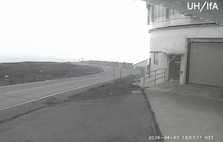 Snapshot from 2026_04_07_16_57.webp