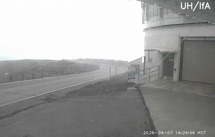 Snapshot from 2026_04_07_17_23.webp